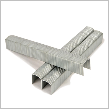 Plier Staples