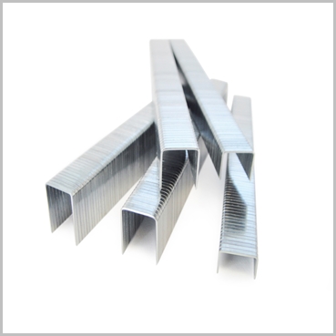 Rapid hammer staples Rapid hammer tacker staples