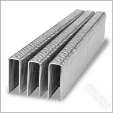 BeA 92 Series Staples 38mm
