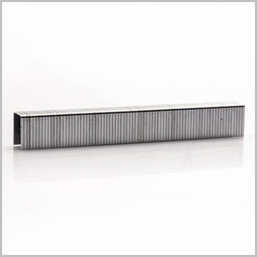 T50 Staples Galvanised