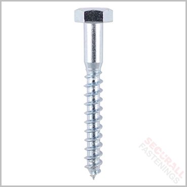 Coach Screws
